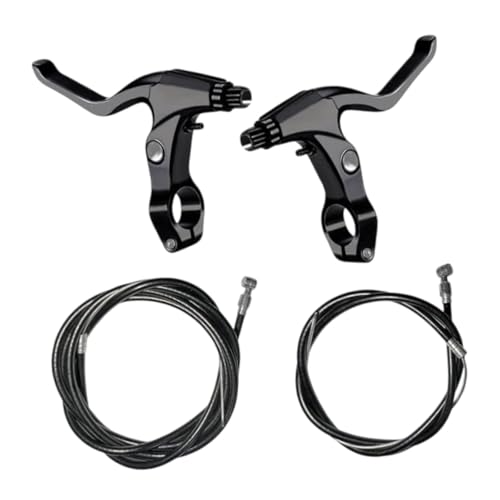 LOL-FUN ]ԃu[LANZT[ ]ԃu[Lo[AقƂǂ̎]Ԃ̃u[LC[tyʃTCNOu[Lo[i