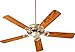 Quorum 17525-60 Downrod Mount, 5 Oak/Walnut Blades Ceiling fan with 67 watts light, Brown