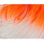 Clear Pearl / Fl Orange
