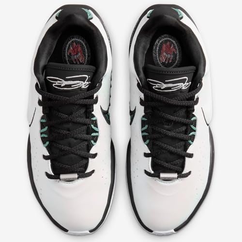 NIKE Lebron XXI Conchiolin Big Kids' Basketball Shoes (FZ7189-100, White/Bicoastal/Photon Dust/Black) Size 3.52