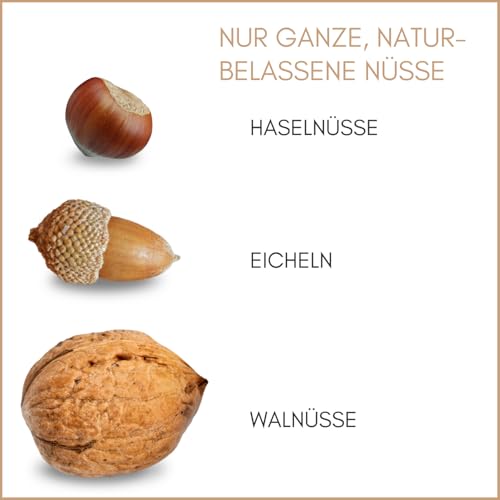Supravit Frische Nüsse-Mix Eichhörnchen Futter 1kg | Futter für Eichhörnchen mit Haselnüsse, Walnüsse mit Schale für Eichhörnchen | Ganzjähriges Eichhörnchenfutter