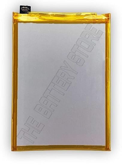 Image of THE BATTERY STORE Original B-F3 Battery for Vivo Y91 / Y93 / Y95 Y93S Y91C / Y90 / Y1S Battery with 6 Month Warranty **** (PPP193)