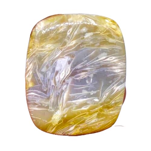 Cabochon fossile de collection 38x31mm pour offrir un bijou artisanal fait main
