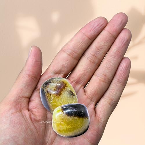 Image of Certified Septarian Crystal Healing Tumbled Stone, Natural Polished Crystals for DIY Crafts, Manifestation, Meditation, Pooja Feng Shui and Reiki Healing (30 Grams)