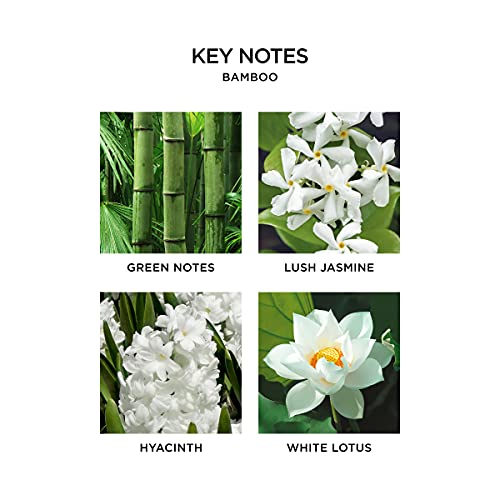 Nest Fragrances Bamboo Scented-Edition 3-Wick Candle, 21 Ounce #TOP2