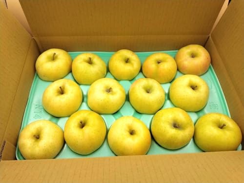  y܂Ɣ_z p 4.5kg 9`15 쌧쒬 ь Hf VimXC[g VimS[h ܖ ͂邩 s9/{`9/{oׁt