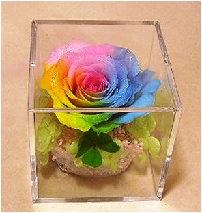 レインボーカラー プリザーブドフラワー アレンジメント imgrc0076911837.jpg