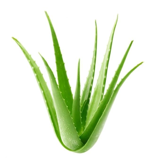 Image of Bright Toothgel With Aloe Vera And Propolis - 130gm