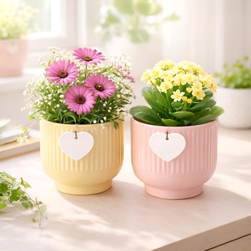 Image of Xtore Elegant Ribbed Ceramic Planter Set for Indoor Plants | Minimalist Decorative Flower Pots for Home, Office Desk & Shelf Styling (Pack of 2, Planters only)