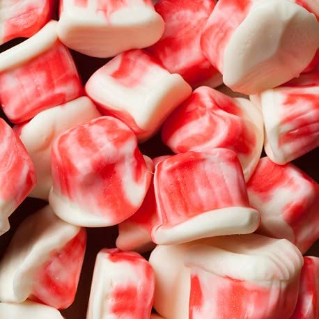 Damel K. Yoguritos Sti – 6 Packungen à 1000 g – insgesamt 6000 g