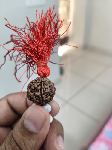 Image of Vaijanti Mala Original with 1.5 CM 5 Mukhi Rudraksha | | Vaijayanti Mala Original with Panchmukhi Rudraksha | Vyjayanthimala | Bajanti | Vijayanti
