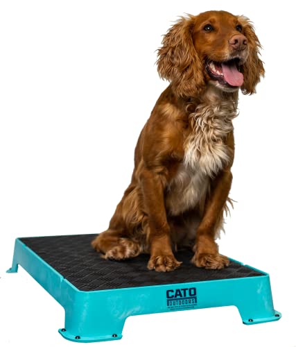 Cato Board - Dog Training Platform (Teal Rubber Surface)