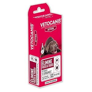 Vétocanis – Fiprocanis Pipette Anti-Puces Anti-Tiques Chien – Traitement et Protection contre Infestations – Antiparasitaire Grand Chien 20-40 kg