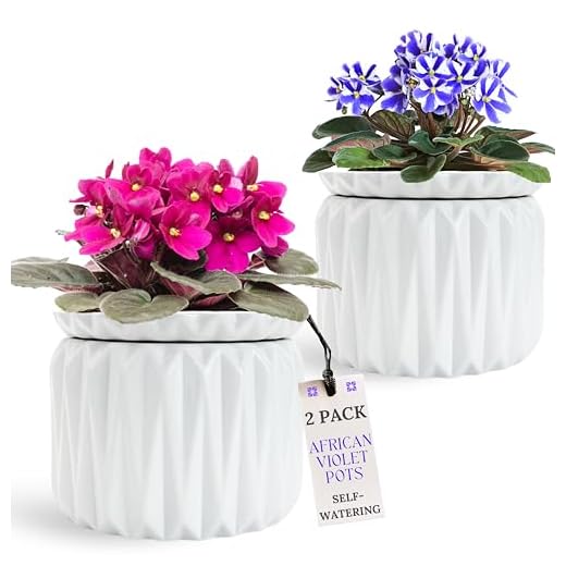 Self-Watering African Violet Pots