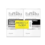 Euphidra