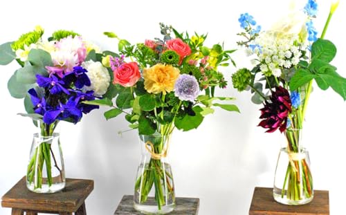 [定期便 3回]"松竹梅の竹セット"届いたら、いつもの花瓶に入れるだけ! 簡単管理 の おしゃれ ブーケ ♪初回 花瓶 付き、毎回延命剤付き!! 花 生花 花束