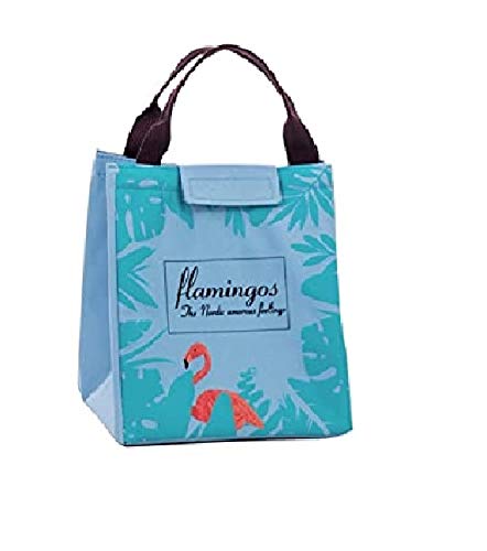 CONNECTWIDE� Cute Insulated Lunch Bag Lunch Tote Cooler Bag for Women Kids Lunch Package, Outdoor Picnic Insulation Package Waterproof Picnic Bag Size: 19.5 * 17cm (1 Pcs) (Blue)
