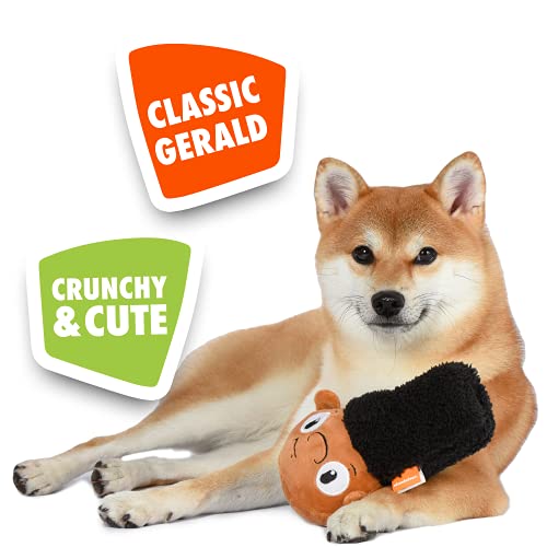 Nickelodeon For Pets Hey Arnold Gerald Dog Water Bottle