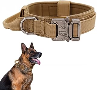 Tactical Dog Collar with Handle - Military Dog Collars Adjustable Training Collar Premium Nylon Dog Collar Heavy Duty Metal Buckle Collar for Medium Large Dogs (XL, Brown)