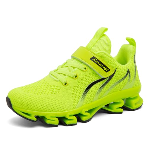 LAZAZAFI Zapatillas Casual para Niño Running Tenis Verde 34 EU