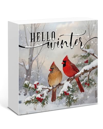 Image of Winter Cardinal Decor, Hello Winter Wood Box Sign, Farmhouse Christmas Home Office Decorations for Desk Table Shelf 5 X 5 Inches