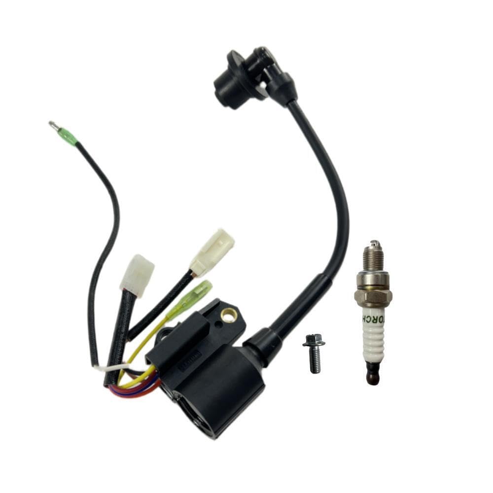 Amazon.com: POWER PRODUCTS Ignitor with Bolts- Replacement for