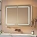 Hzuaneri Spiegelschrank Bad mit Beleuchtung, Badezimmer Spiegelschrank, 3 Farbtemperatur Dimmbare, Badezimmerschrank mit Spiegel und Verstellbarem Regal, 16,5 x 70 x 60 cm Weiß MC30203XEU