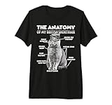 Este divertido gato T resume a la perfección el carácter relajado del británico de pelo corto. Para todos los que aman a su compañero de cuarto de patas de terciopelo y quieren demostrarlo con humor y estilo. Dulce BKH T ideal para abrazar a tu amigo