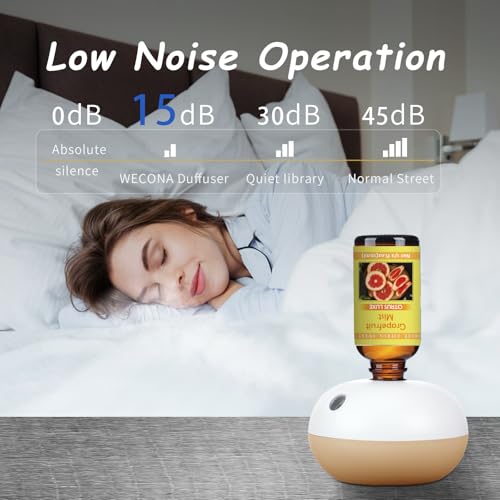 Rechargeable Waterless Oil Diffuser - 2 Mist Modes Essential Oil Diffusers with 6 Essential Oils(10ml) for Home,Car,Office - Scent Diffuser Starter Kit