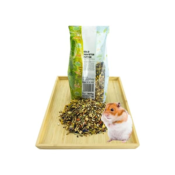 Getzoo Goldhamsterfutter 500g I Naturorientiert & Ausgewogen I Große Auswahl an Urgetreide I Inklusive Früchte & Gemüse I Hochwertige Eiweißquellen I Ohne Wasser-Eiweiß