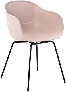 FENSHIX Forma de Shell Plástico Silla de Oficina Inicio Mesa de Comedor Cafe Tumbona, Tamaño: 79 x 40 x 38cm Valioso (Color : Color1)