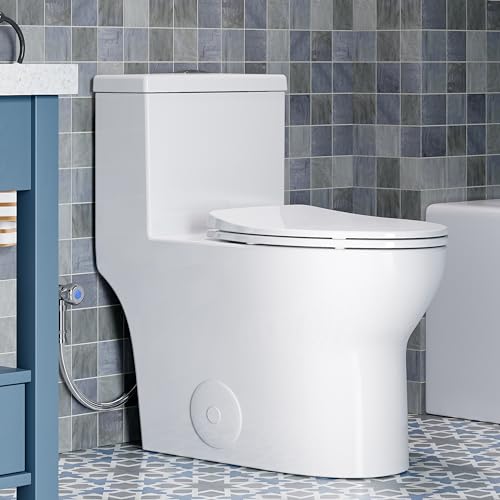 HOROW T0350W One Piece Toilet with 17' ADA Chair Height Seat, Elongated Toilet with Soft Closing Seat, Powerful Dual Flush Toilet with Square Button, MAP 1000g, 12' Rough-In Skirted White