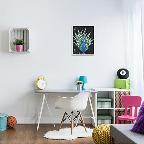 Stupell Industries Children's Abstract Peacock Doodle Black Pattern White Framed Wall Art, 16 x 20, Green2