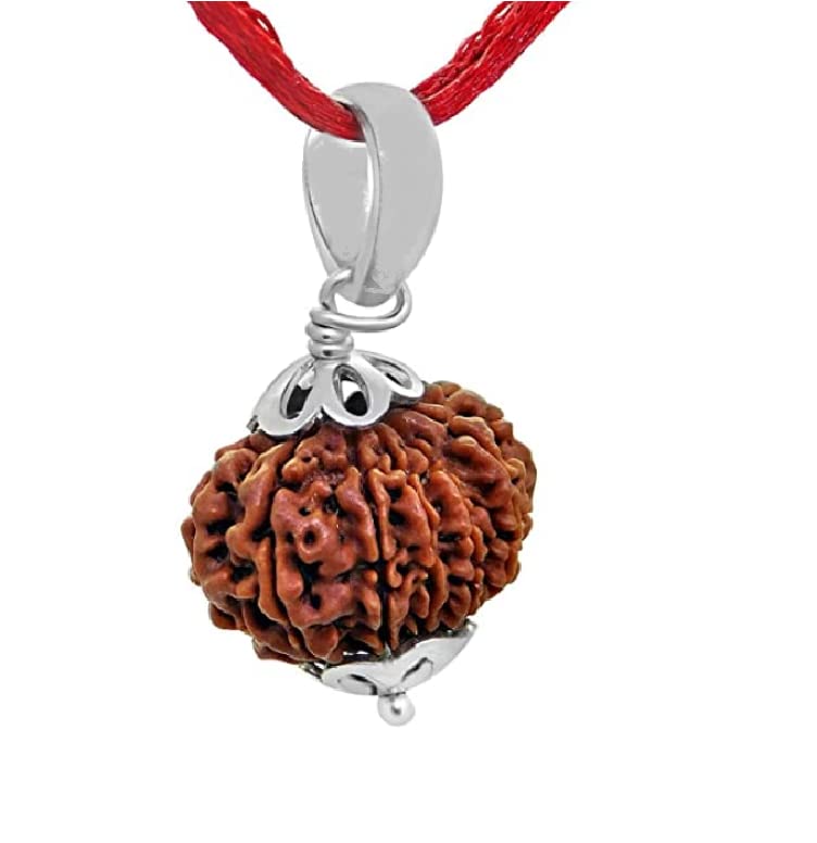 Certified Gems 13 Mukhi Rudraksha Original Certified (23mm-27mm) 13 Face Terah Mukhi Rudraksha Brown Beads with Silver Pendent For Mala Jaap Men Women (B07X6JJMRQ) Amazon Price History, Amazon Price Tracker