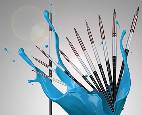 Round Watercolor Brushes Variety Set Of 11 Water Color Brushes - Artist Quality For Watercolor Paints, Acrylic, Inks, Gouache, Oil And Tempera By Adi's&Guy's #TOP6