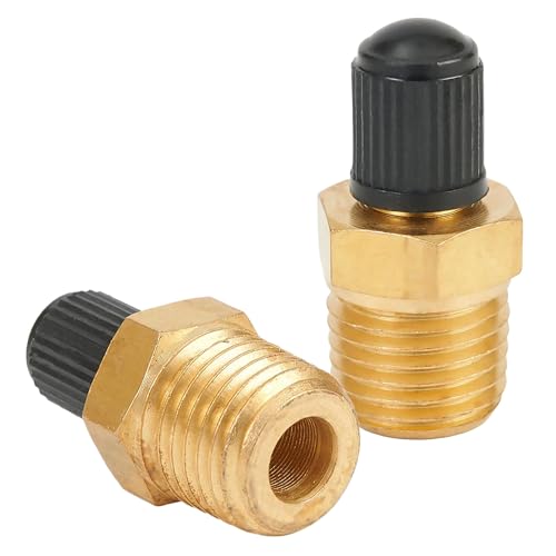 Flaconi Núcleo de Válvula de Neumático de Coche,Válvula del Compresor de Aire, Válvula de Compresor de Aire de Latón,Válvula de Inflado,Adecuado para Coches,Motos,Bicicletas,Camiones