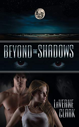 Beyond the Shadows view 2