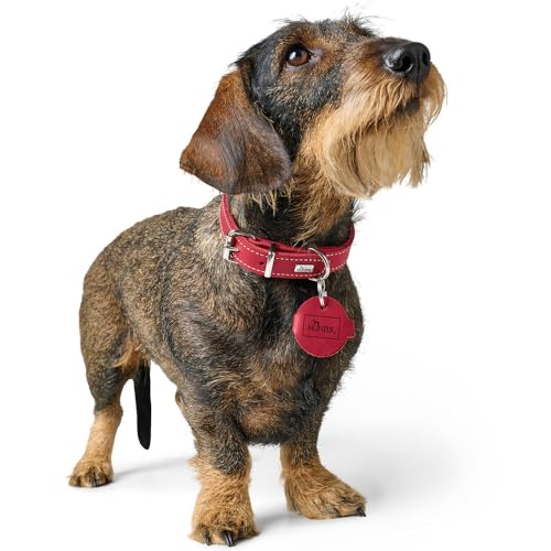 HUNTER Anhänger Hundemarken-Etui Aalborg Farbe schwarz, Größe S