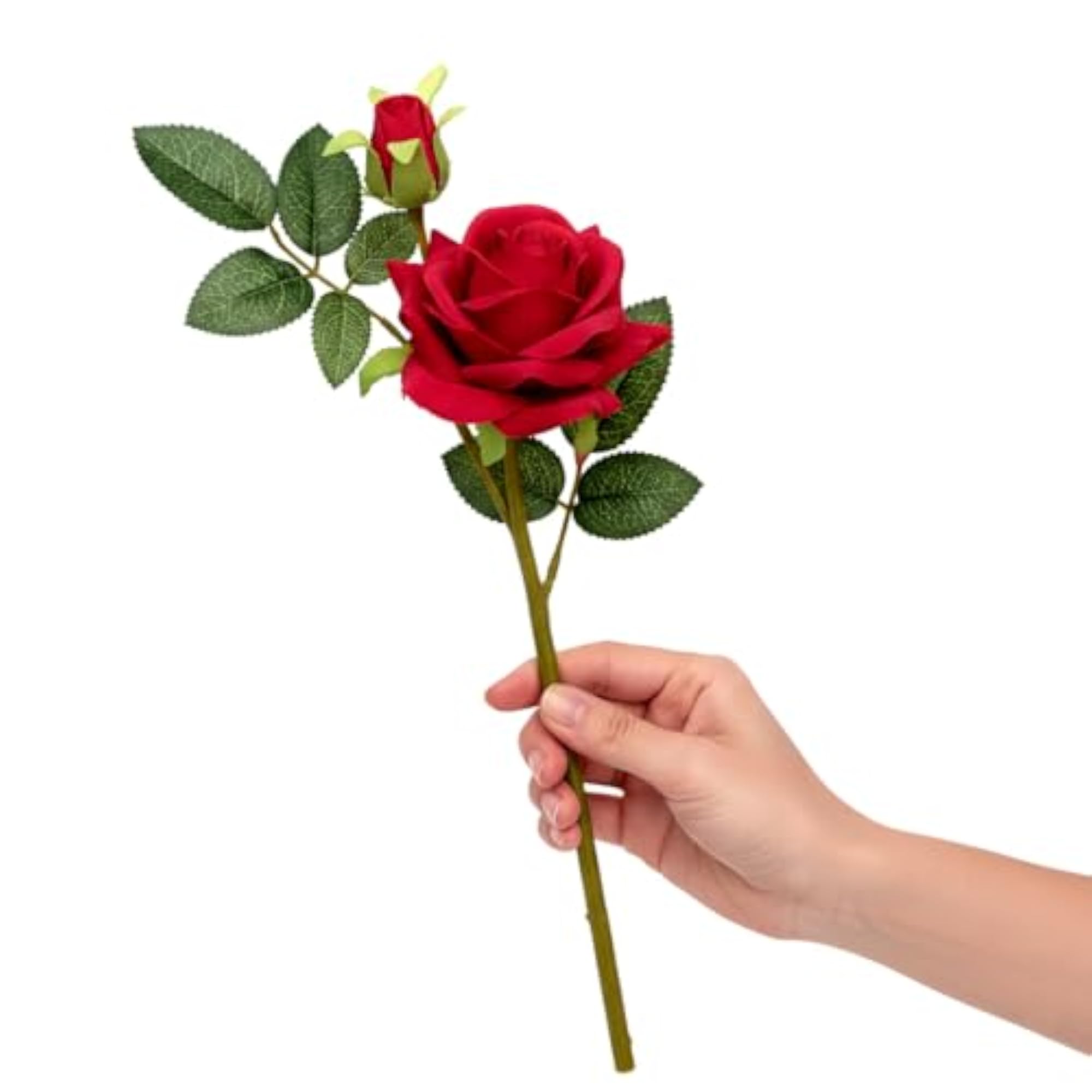Red Rose Flower Stem for Valentine's Day
