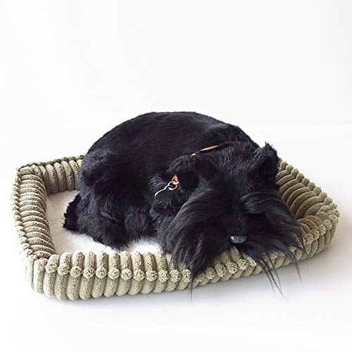 jjAhLm p[tFNgybg (TCY) XReBbVeA ʂ   Ck A {  G  Aj}   v[g Mtg j 킢 ̂ʂ