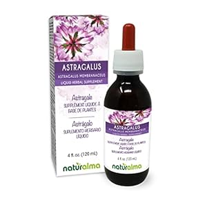 Astragalus (Astragalus membranaceus) Root Alcohol-Free Tincture Naturalma | 4 fl oz Liquid Extract in Drops | Herbal…