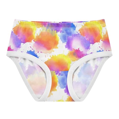 Joisal Fun Print Toddlers Underwear Floral 2t Cotton Panties Little Girl Abstract Watercolor Colorful Undies Kids Briefs - Main Image