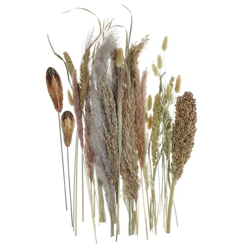 Ramo de pasto pampas seco natural Garneck para decoración