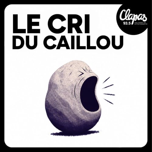 Michael DELAFOSSE, Maire de Montpellier Titelbild