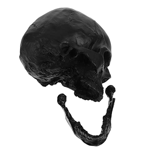 Structure osseuse détaillée pour ce crâne d'Halloween RLKHXBS compact