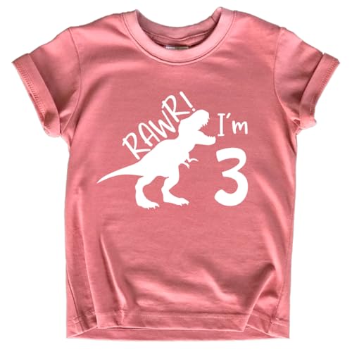 rawr im 3 Year Old Girl Birthday Shirt Dinosaur Roar Three 3rd Toddler Outfit Third