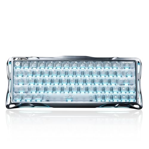 0.005mmラピッドトリガー搭載 GravaStar Mercury V60 PRO ゲーミングキーボード カスタムUFO磁気スイッチ 60%レイアウト 有線 8000ポーリングレート対応 0.125ms超低遅延 シルバーメッキ技術 フルアルミフレーム フロスト加工半透明キーキャップ アクチュエーション調整可能 シルバー