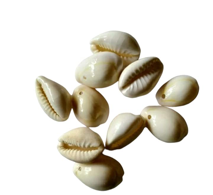 ZILZON® 50 Pieces 1.5 cm Small Beads Cowrie Tribal Jewellery Craft Accessories Holes Cowries Shell Beads for Embroidery; Craft and Jewellery Making (B0B2FBWC4M) Amazon Price History, Amazon Price Tracker