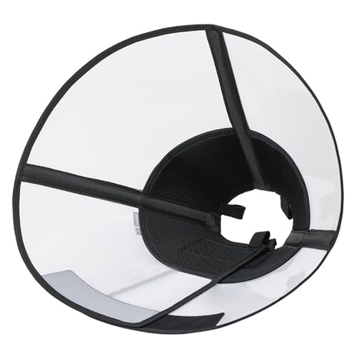 ȔL̎փR[֏^Lp|Xgnre[V̌yɍœK^p