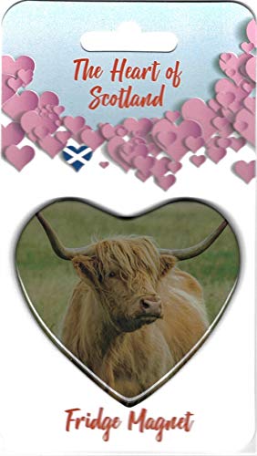 Faithful Friends Collectables The Heart of Scotland Highland Cow Magnet